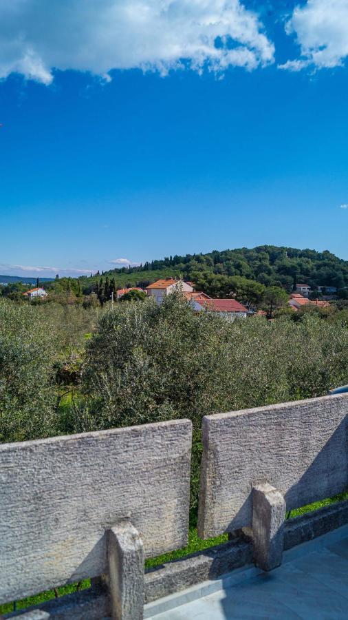 Vecchia Oliva,Kuljica Villa Kukljica Exterior photo